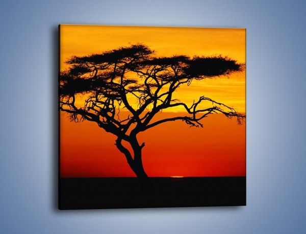 Obraz na płótnie – Zachód słońca i drzewo – jednoczęściowy kwadratowy KN307