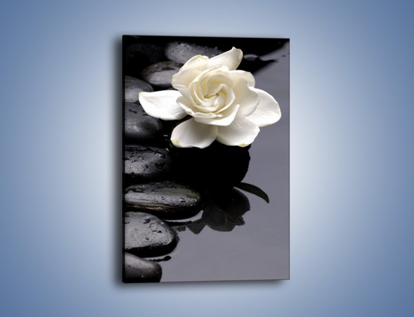 Obraz na płótnie – Jeden kwiat i tyle kamieni – jednoczęściowy prostokątny pionowy K525