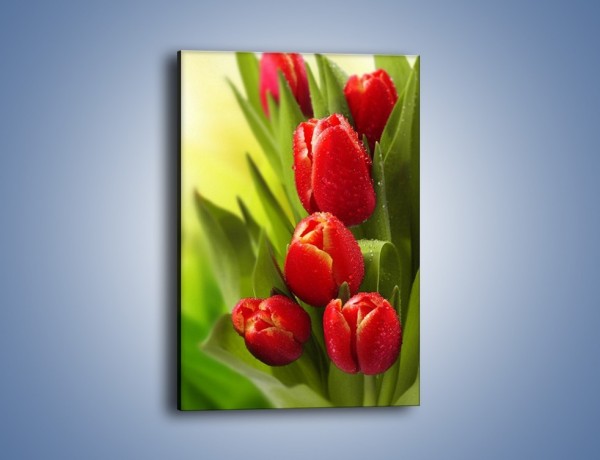 Obraz na płótnie – Liście tulipanów – jednoczęściowy prostokątny pionowy K546