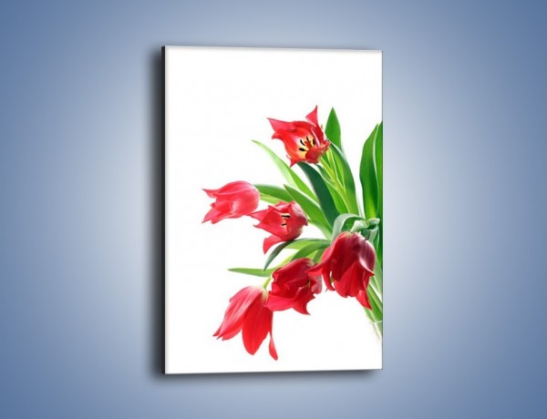 Obraz na płótnie – Dawno temu z tulipanem – jednoczęściowy prostokątny pionowy K547