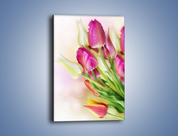 Obraz na płótnie – Kolorowa moc tulipanowa – jednoczęściowy prostokątny pionowy K549