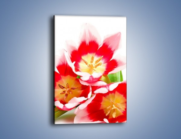 Obraz na płótnie – Kwiatki z bajki – jednoczęściowy prostokątny pionowy K550
