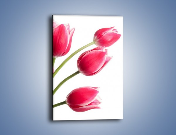 Obraz na płótnie – Pięć razy tulipany – jednoczęściowy prostokątny pionowy K551