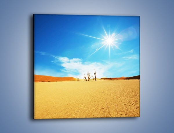 Obraz na płótnie – Błękit nieba i słońce w ziemi – jednoczęściowy kwadratowy KN331
