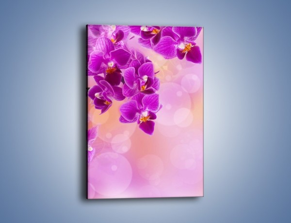 Obraz na płótnie – Spadające fioletowe kwiaty – jednoczęściowy prostokątny pionowy K614