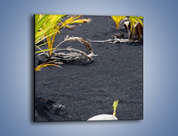 Obraz na płótnie – Dodatki na czarnym piasku – jednoczęściowy kwadratowy KN350