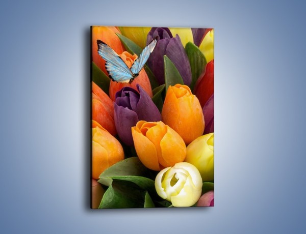 Obraz na płótnie – Tulipany patrzące na motyla – jednoczęściowy prostokątny pionowy K636