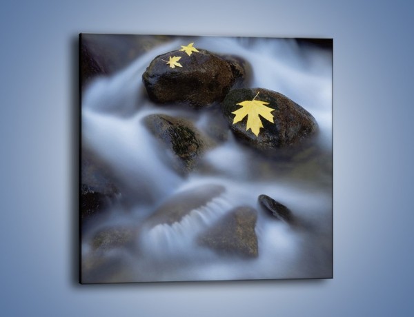 Obraz na płótnie – Żółty liść na kamieniu – jednoczęściowy kwadratowy KN383