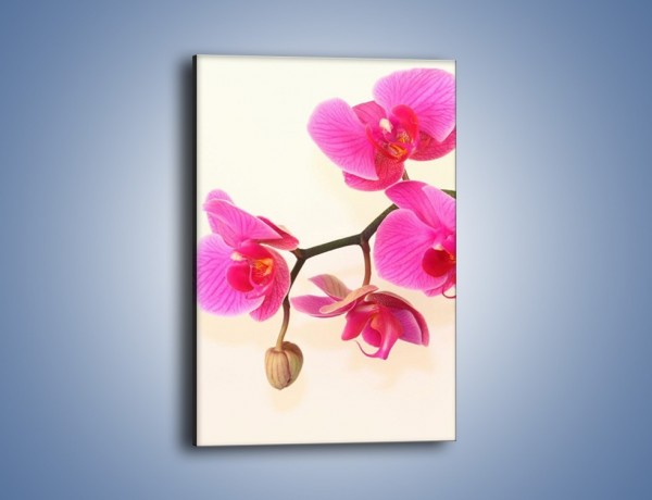 Obraz na płótnie – Pączek w towarzystwie kwiatów – jednoczęściowy prostokątny pionowy K651