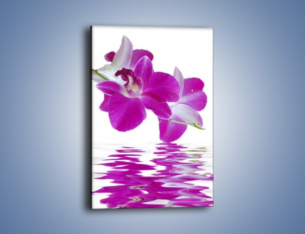 Obraz na płótnie – Rozwinięty kwiat w wodnym odbiciu – jednoczęściowy prostokątny pionowy K673
