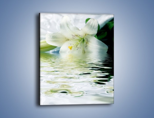 Obraz na płótnie – Czystość zachowana w lilii – jednoczęściowy prostokątny pionowy K675