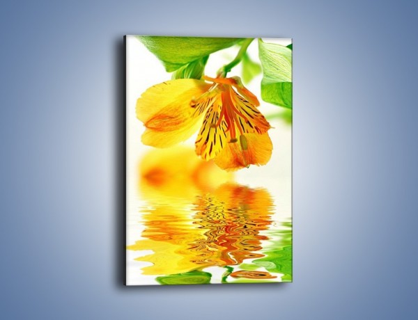 Obraz na płótnie – Ja kwiat i moje odbicie – jednoczęściowy prostokątny pionowy K676