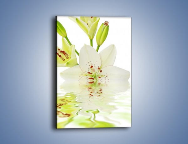 Obraz na płótnie – Zatopiona lilia – jednoczęściowy prostokątny pionowy K677