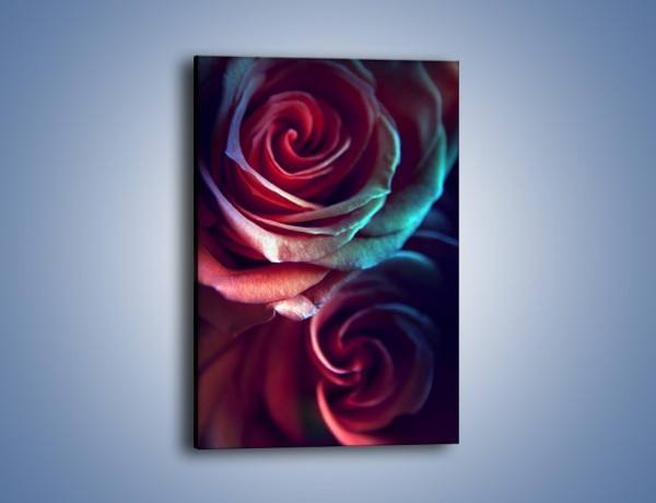 Obraz na płótnie – Ciemność różanych główek – jednoczęściowy prostokątny pionowy K679