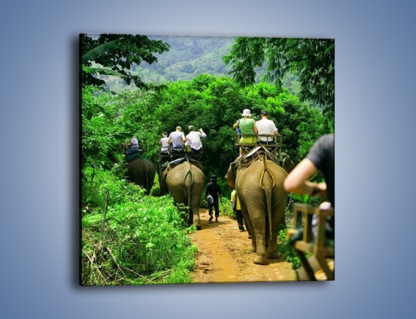 Obraz na płótnie – Podróż na słoniu – jednoczęściowy kwadratowy KN414