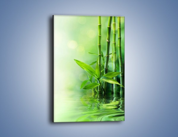 Obraz na płótnie – Bambusowe łodygi w roli głównej – jednoczęściowy prostokątny pionowy K704