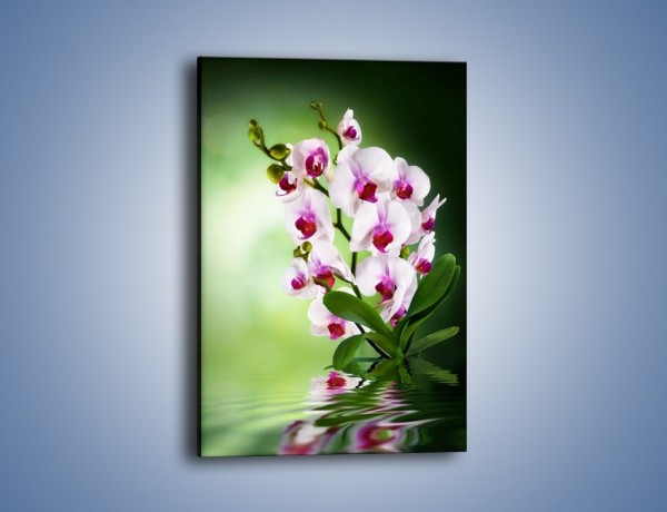 Obraz na płótnie – Kwiaty o zmierzchu – jednoczęściowy prostokątny pionowy K726