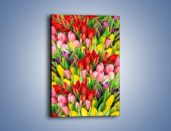 Obraz na płótnie – Cały widok w tulipanach – jednoczęściowy prostokątny pionowy K804