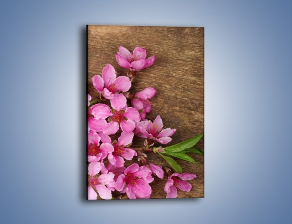 Obraz na płótnie – Różowe kwiatki wiśni – jednoczęściowy prostokątny pionowy K805