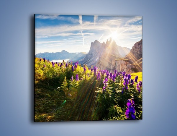 Obraz na płótnie – Góry w poświacie słońca – jednoczęściowy kwadratowy KN502