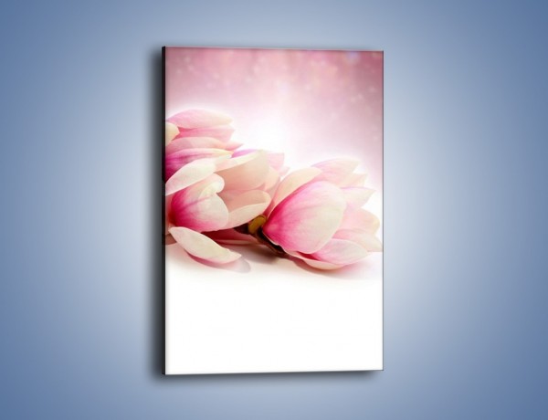 Obraz na płótnie – Gałąź magnolii na obłoku – jednoczęściowy prostokątny pionowy K817