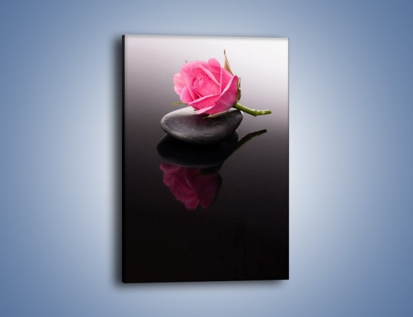 Obraz na płótnie – Pojedyncza różana myśl – jednoczęściowy prostokątny pionowy K836