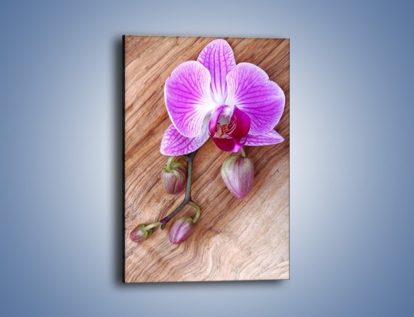 Obraz na płótnie – Kwiat na drewnianych słojach – jednoczęściowy prostokątny pionowy K850