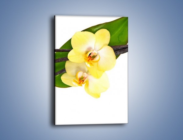 Obraz na płótnie – Waniliowa kwiatowa kompozycja – jednoczęściowy prostokątny pionowy K857