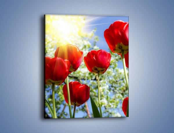 Obraz na płótnie – Słońce w kwiatowych łodygach – jednoczęściowy prostokątny pionowy K865