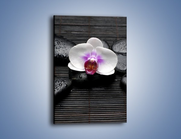 Obraz na płótnie – Biały kwiat na ciemnej macie – jednoczęściowy prostokątny pionowy K874