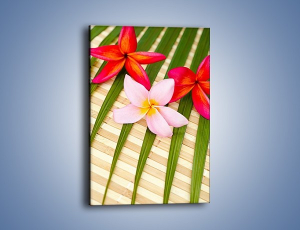Obraz na płótnie – Liście juki i kwiaty – jednoczęściowy prostokątny pionowy K897