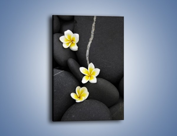 Obraz na płótnie – Kwiaty wrzucone w kamienne szczeliny – jednoczęściowy prostokątny pionowy K934
