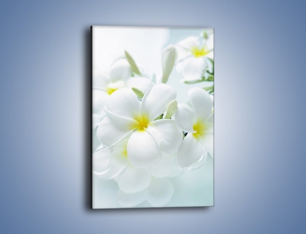 Obraz na płótnie – Śniegowe główki kwiatów – jednoczęściowy prostokątny pionowy K963