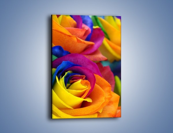 Obraz na płótnie – Pąki róż w kolorach tęczy – jednoczęściowy prostokątny pionowy K973
