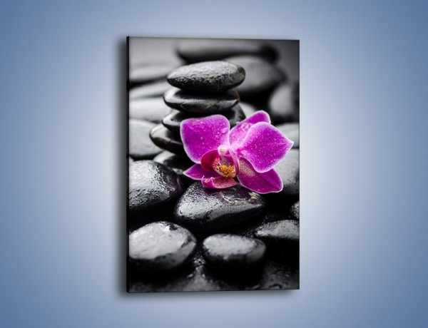 Obraz na płótnie – Malutki kwiatek i morze kamieni – jednoczęściowy prostokątny pionowy K983