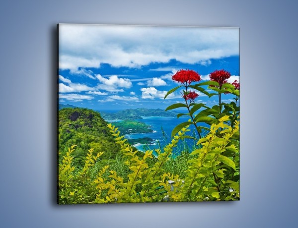Obraz na płótnie – Bordowe kwiaty w górskim krajobrazie – jednoczęściowy kwadratowy KN561