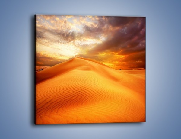 Obraz na płótnie – Spokojny oddech w pustynnym klimacie – jednoczęściowy kwadratowy KN567
