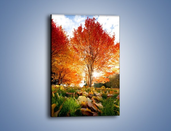 Obraz na płótnie – Jesień w parku – jednoczęściowy prostokątny pionowy KN073