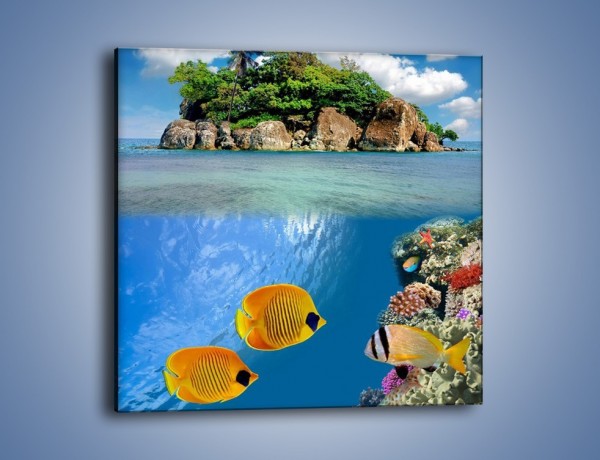 Obraz na płótnie – Podwodny świat na wyspie – jednoczęściowy kwadratowy KN586