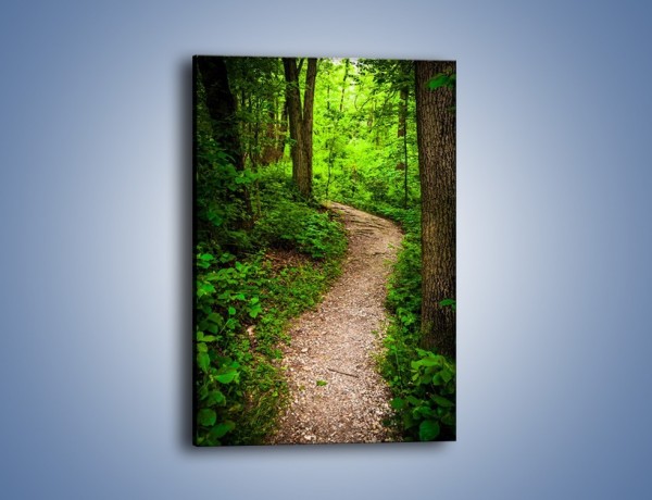 Obraz na płótnie – Wąską ścieżką leśną – jednoczęściowy prostokątny pionowy KN1296A
