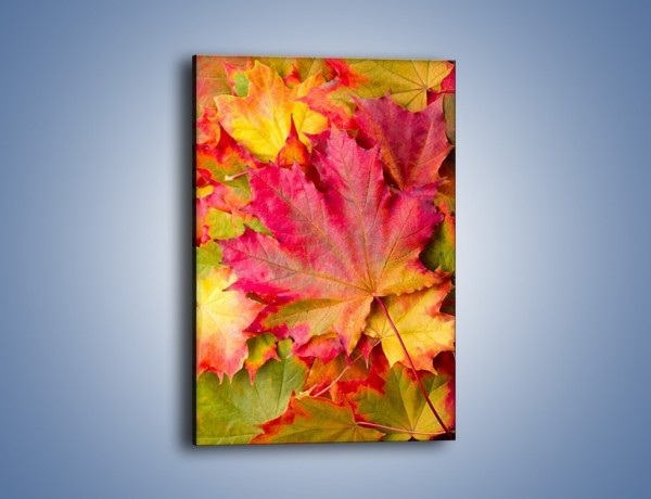 Obraz na płótnie – Jesień w liściach – jednoczęściowy prostokątny pionowy KN131