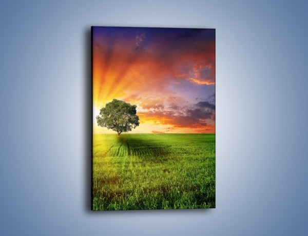 Obraz na płótnie – Słoneczko ukryte za drzewkiem – jednoczęściowy prostokątny pionowy KN272
