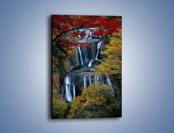 Obraz na płótnie – Leśne okienko na wodospad – jednoczęściowy prostokątny pionowy KN298