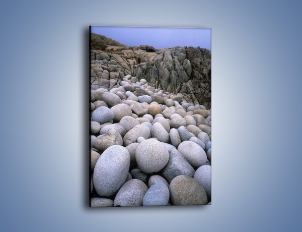 Obraz na płótnie – Zjeżdżalnia z usypanych kamieni – jednoczęściowy prostokątny pionowy KN316