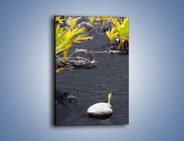 Obraz na płótnie – Dodatki na czarnym piasku – jednoczęściowy prostokątny pionowy KN350