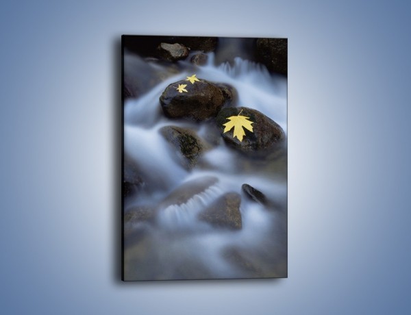 Obraz na płótnie – Żółty liść na kamieniu – jednoczęściowy prostokątny pionowy KN383