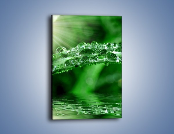 Obraz na płótnie – Liść w wodnym stroju – jednoczęściowy prostokątny pionowy KN410