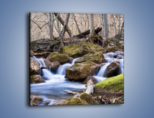 Obraz na płótnie – Rwący potok w chłodny dzień – jednoczęściowy kwadratowy KN676