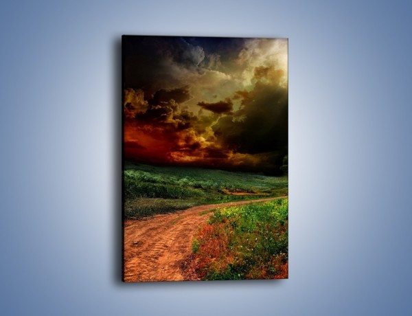 Obraz na płótnie – Groźne chmury nad łąką – jednoczęściowy prostokątny pionowy KN476
