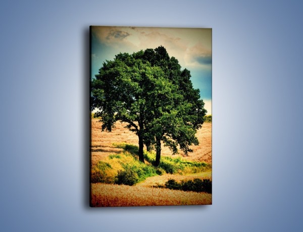 Obraz na płótnie – Para zaprzyjaźnionych drzew – jednoczęściowy prostokątny pionowy KN571